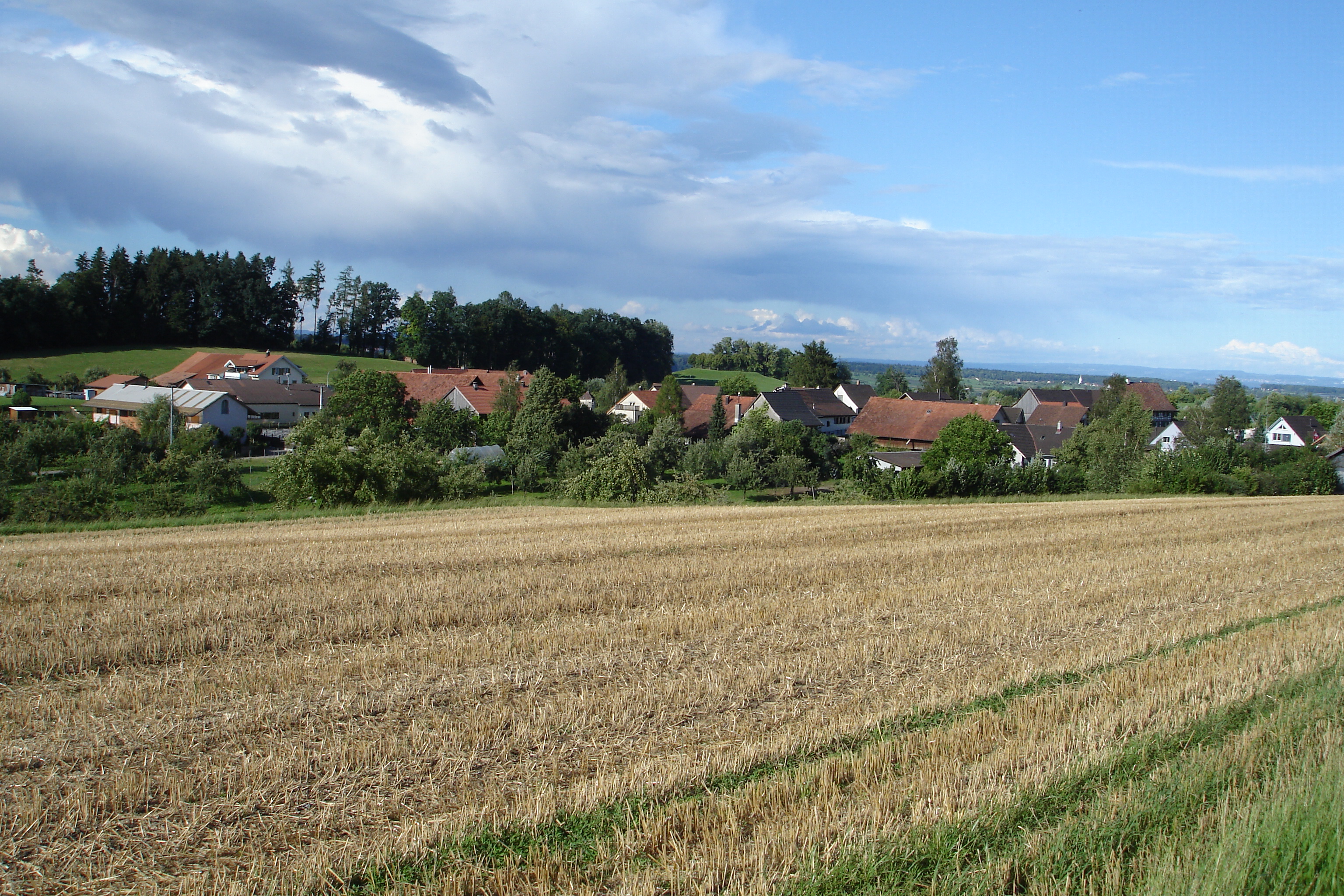 Thomas Mäder ist Cup Sieger 2023